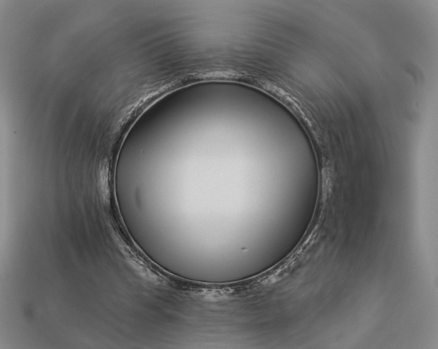 X0000112940345200909071059