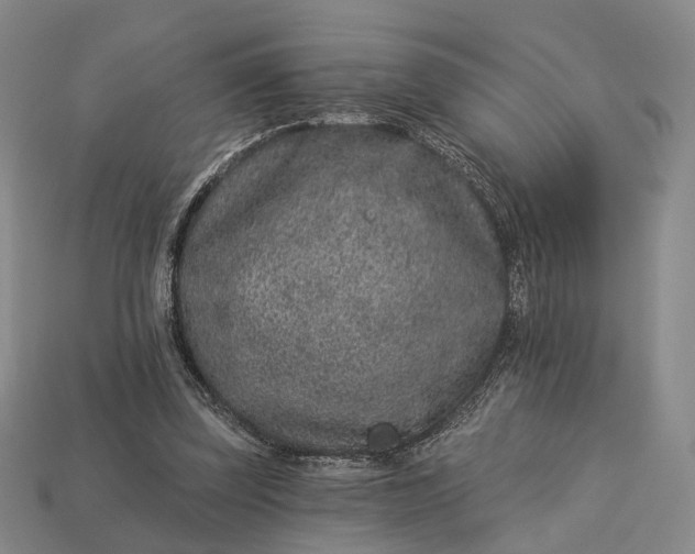 X0000112940347200909071059