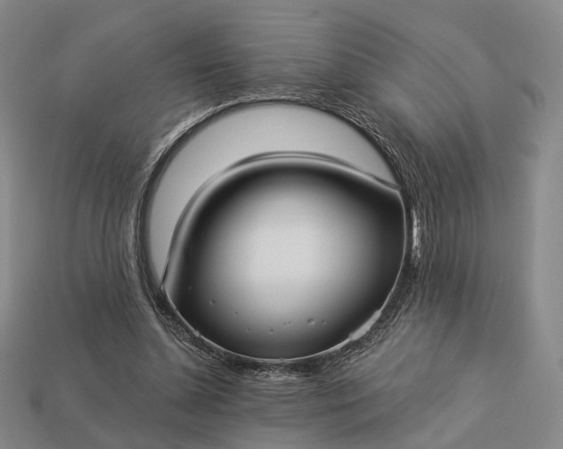 X0000112940348200909071059