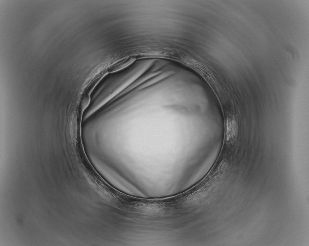 X0000112940349200909071059