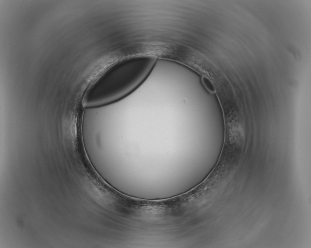 X0000112940350200909071059