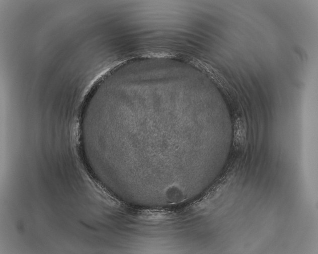 X0000112940351200909071059