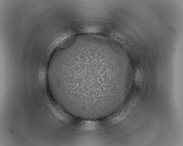 X0000112940352200909071059