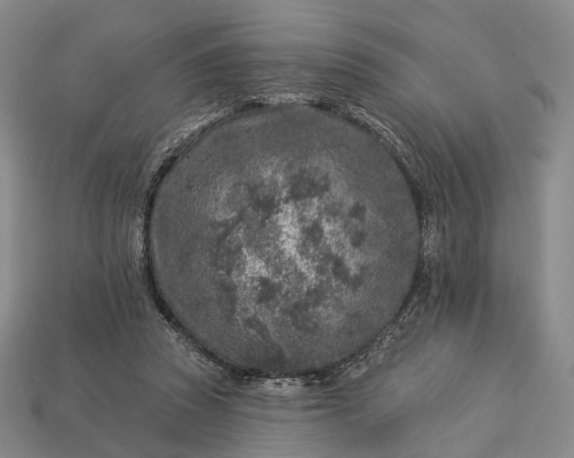 X0000112940353200909071059