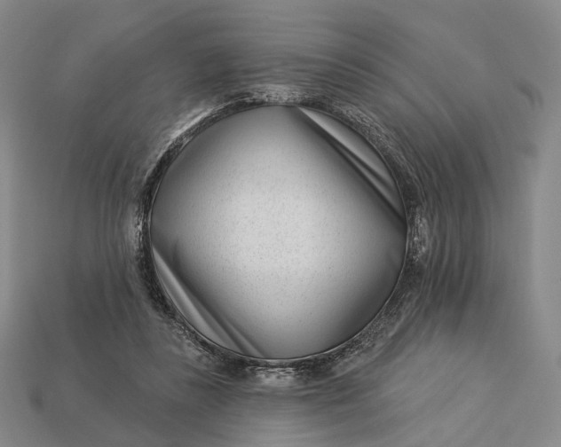 X0000112940355200909071059