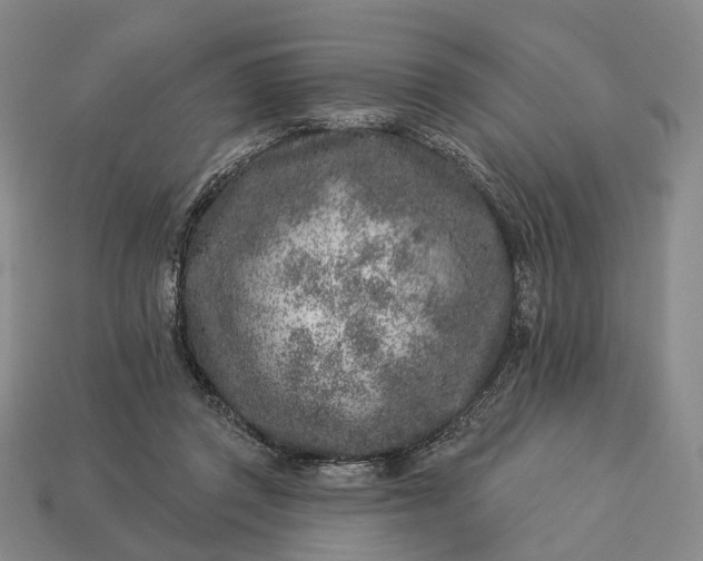 X0000112940357200909071059