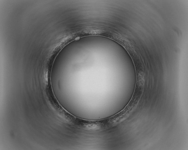 X0000112940358200909071059