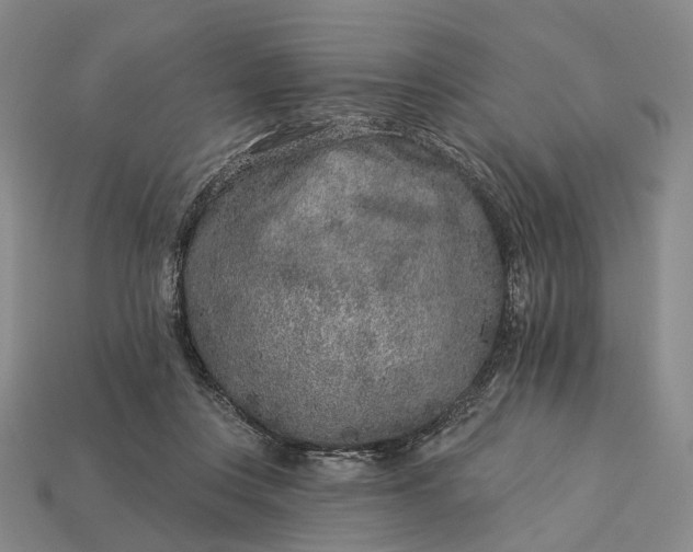 X0000112940359200909071059