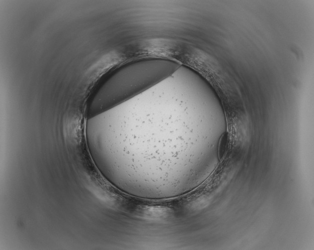 X0000112940360200909071059