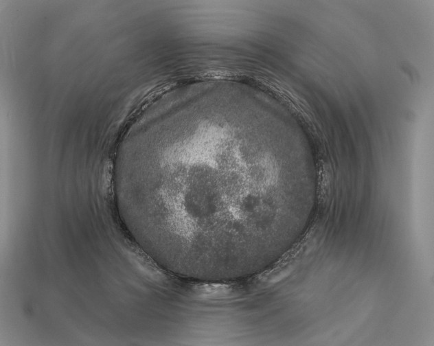 X0000112940361200909071059