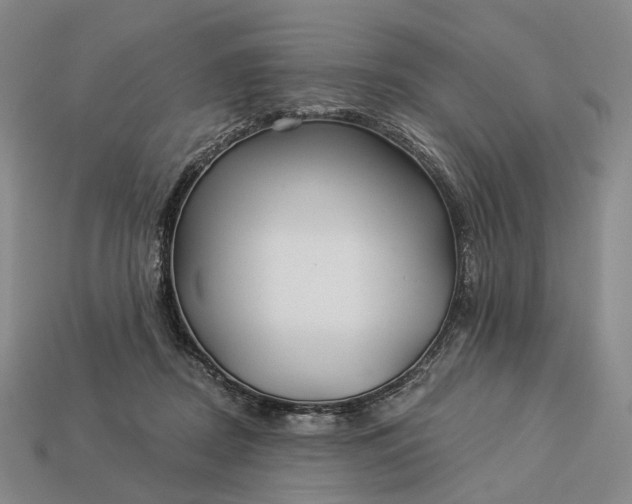 X0000112940362200909071059