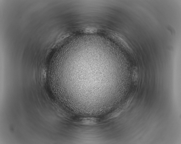 X0000112940363200909071059