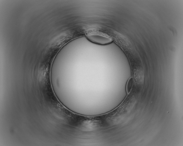 X0000112940364200909071059