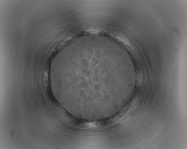 X0000112940365200909071059