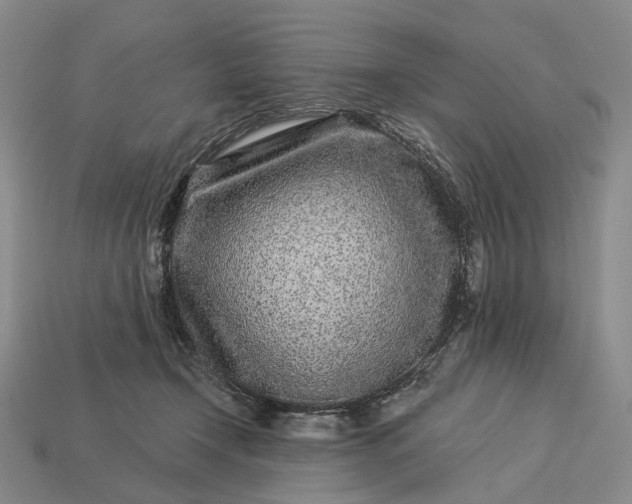 X0000112940366200909071059