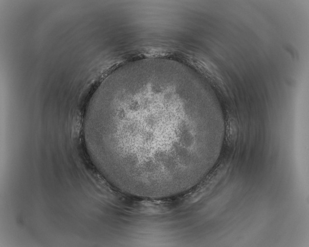 X0000112940367200909071059