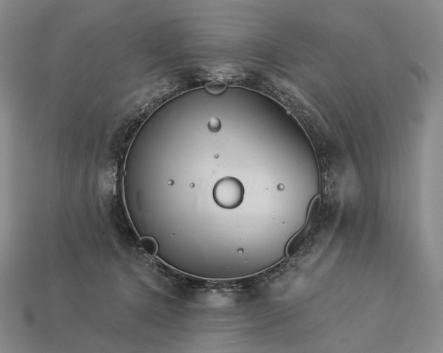 X0000112940368200909071100