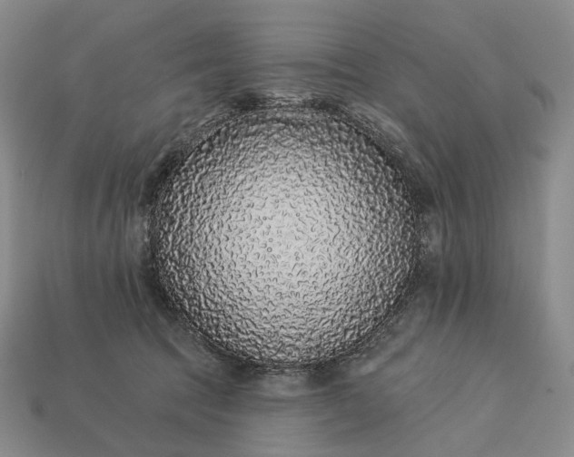 X0000112940369200909071100