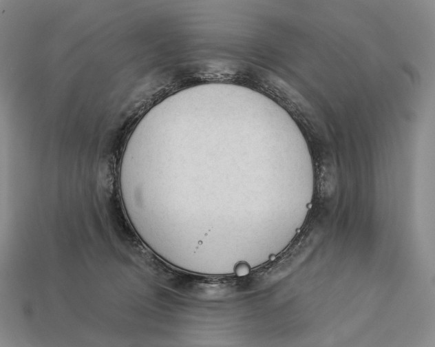 X0000112940370200909071100