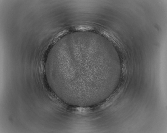 X0000112940371200909071100