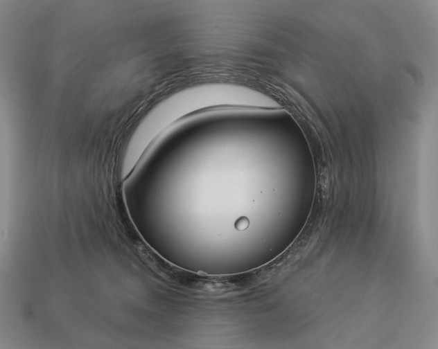 X0000112940372200909071100