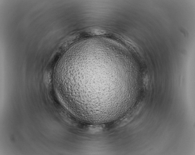 X0000112940373200909071100