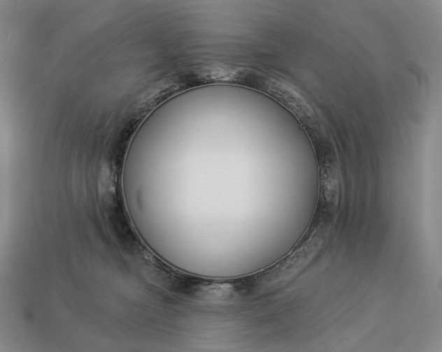 X0000112940374200909071100