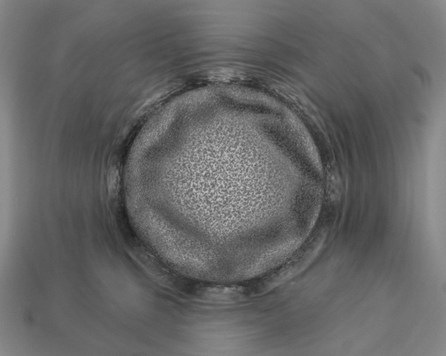 X0000112940375200909071100