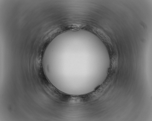 X0000112940376200909071100