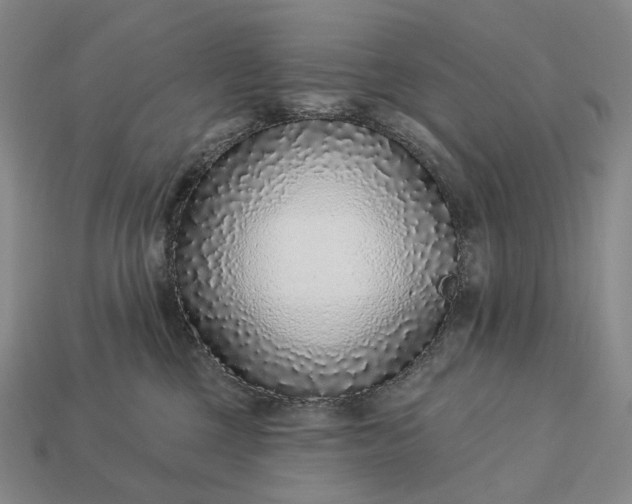 X0000112940377200909071100