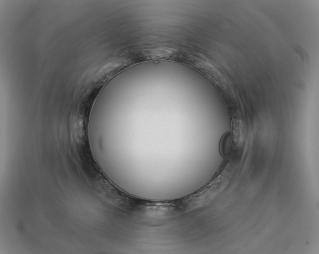 X0000112940378200909071100