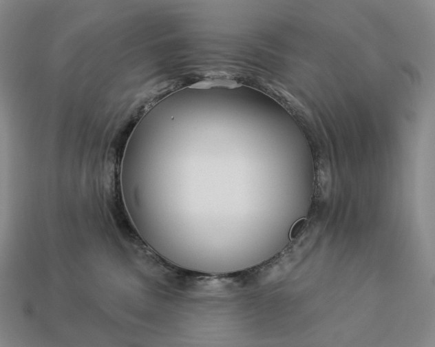 X0000112940379200909071100