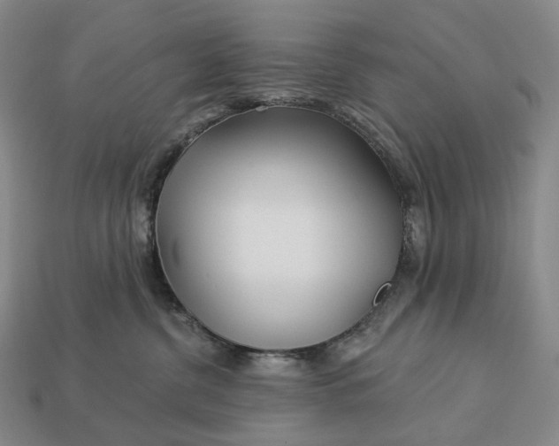 X0000112940380200909071100