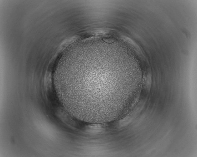 X0000112940381200909071100