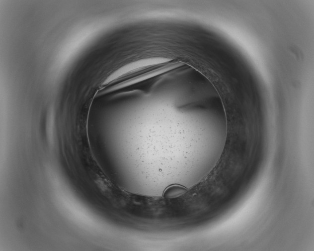 X0000112940382200909071100