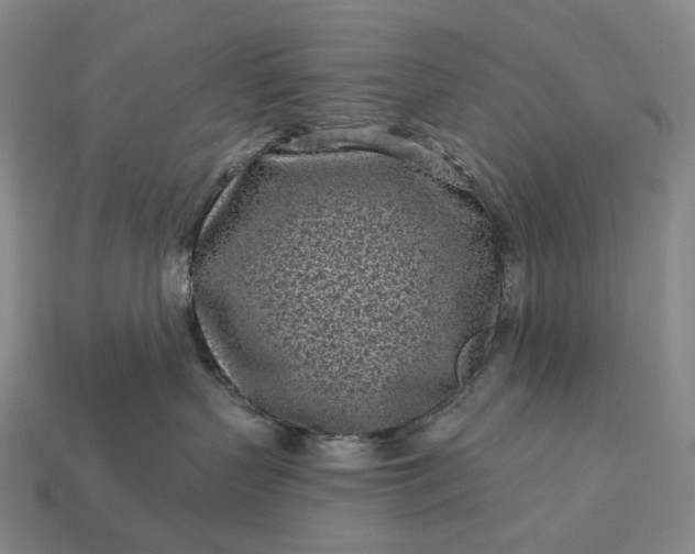 X0000112940383200909071100