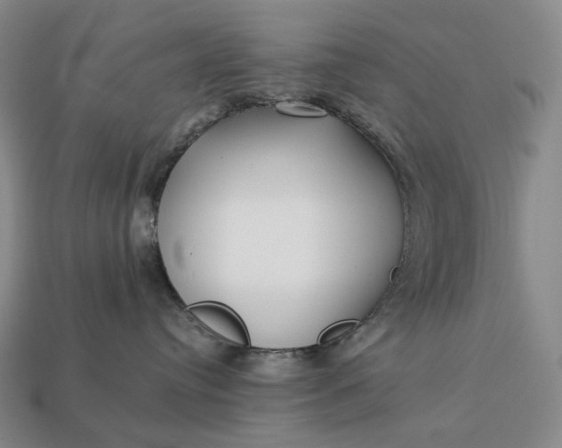 X0000112940384200909071100