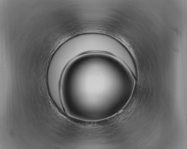 X0000112940385200909071059