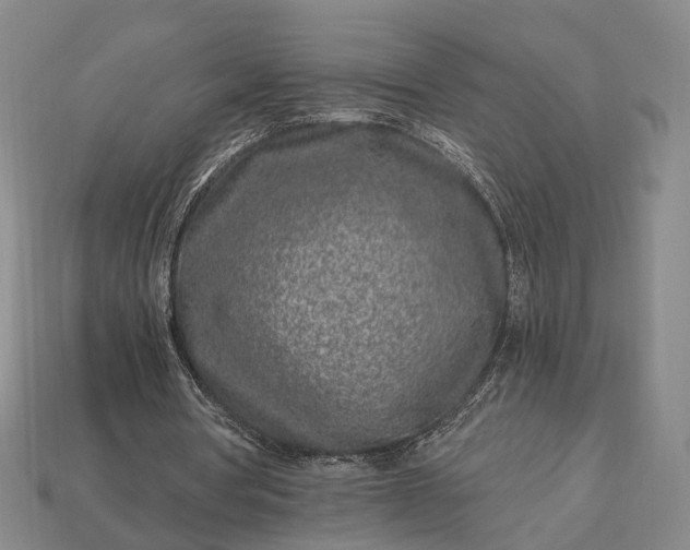 X0000112940386200909071059