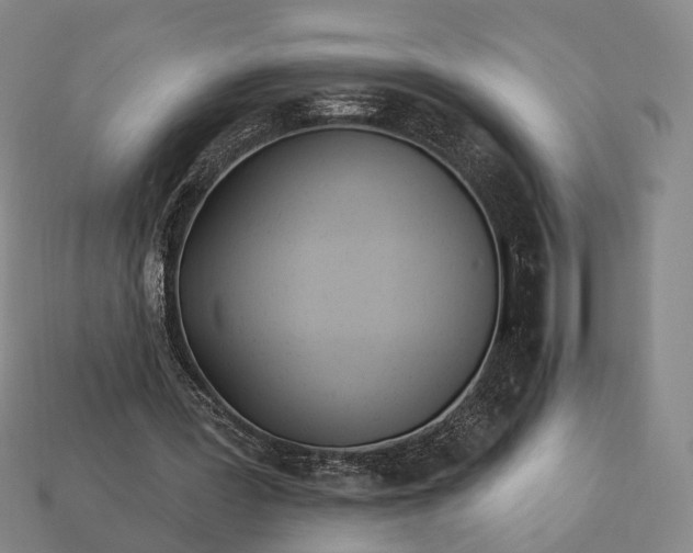 X0000112940387200909071059