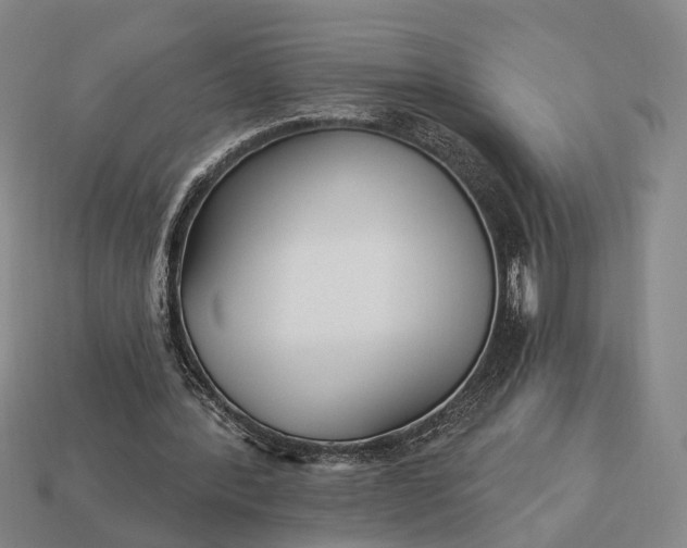 X0000112940388200909071059