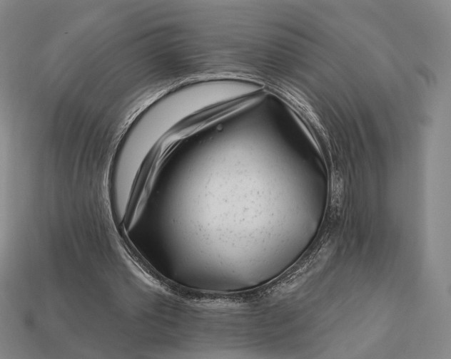 X0000112940389200909071059