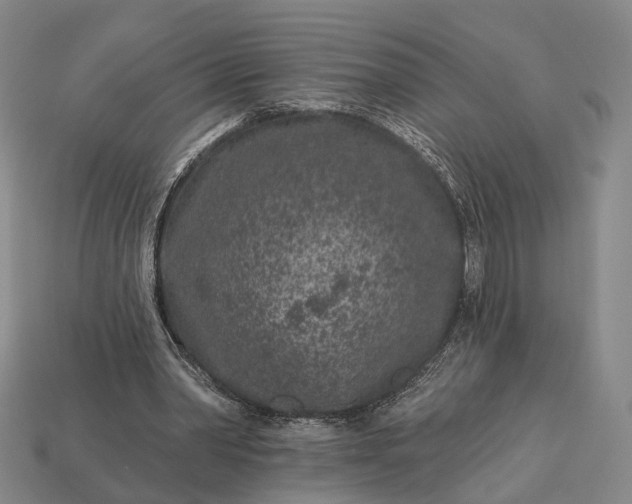 X0000112940390200909071059