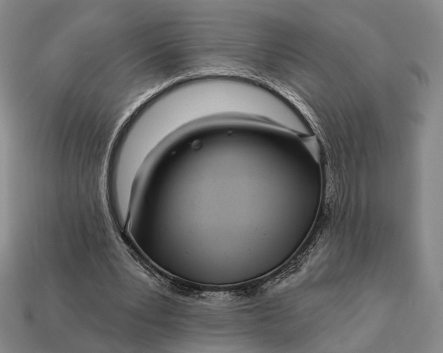 X0000112940391200909071059