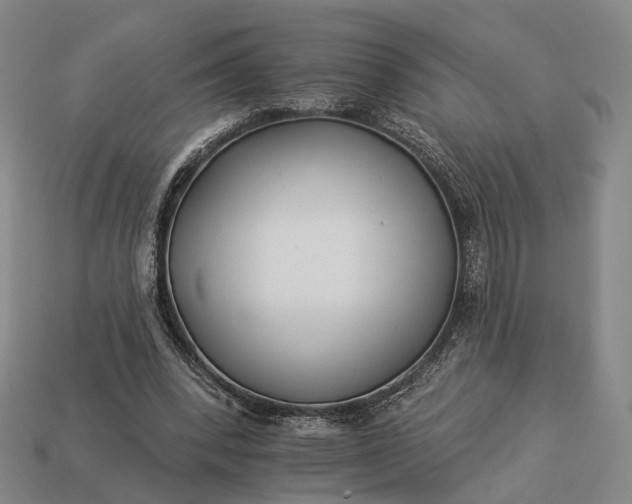 X0000112940392200909071059