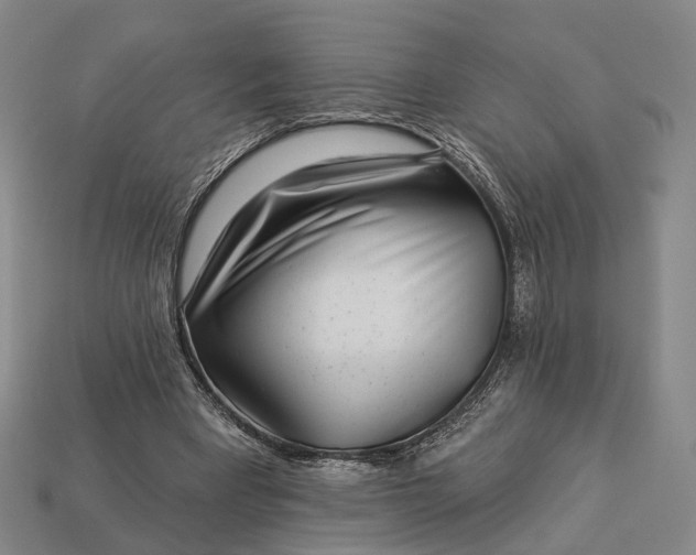 X0000112940393200909071059