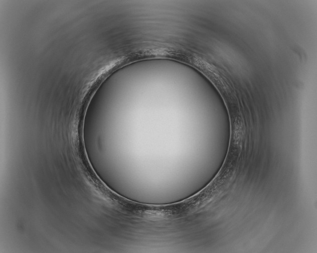 X0000112940394200909071059