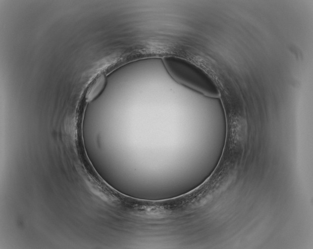 X0000112940395200909071059