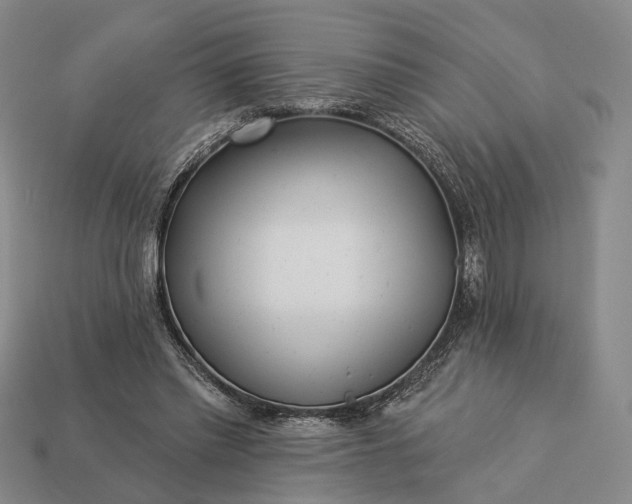 X0000112940397200909071059