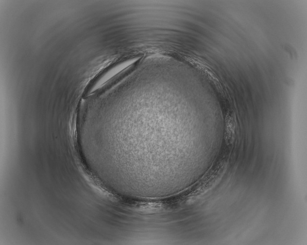 X0000112940398200909071059